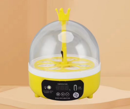 Mini Couveuse Automatique 4 Œufs